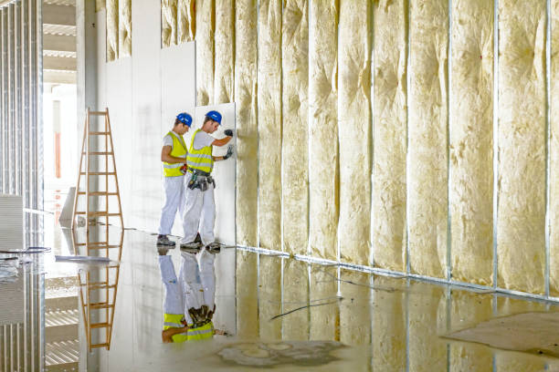 Best Commercial Insulation in Garwood, NJ